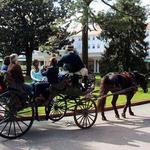 Pinehurst Carriage Tours