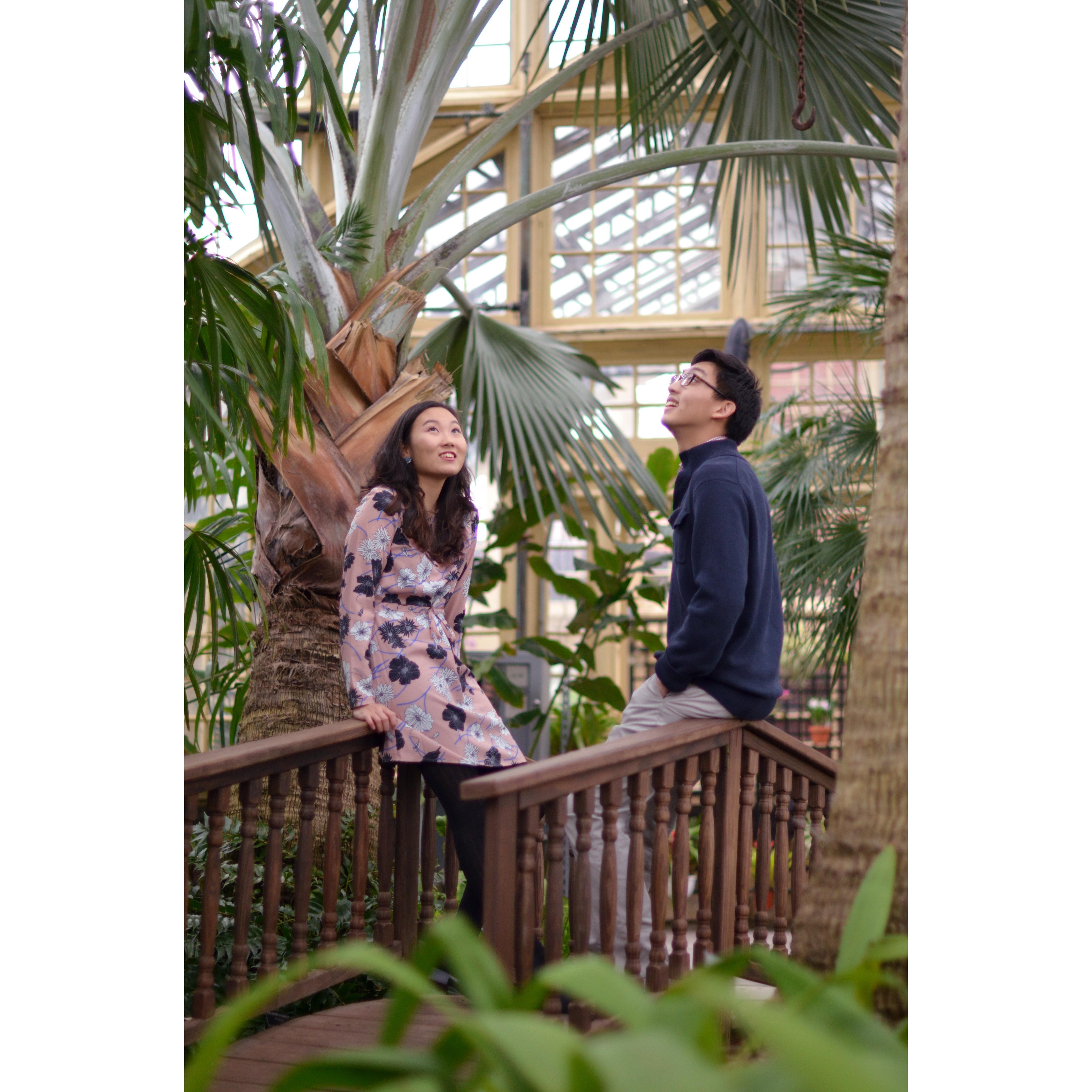 Engagement Shoot February 2018