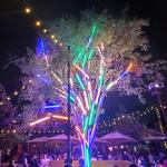 Axelrad Beer Garden