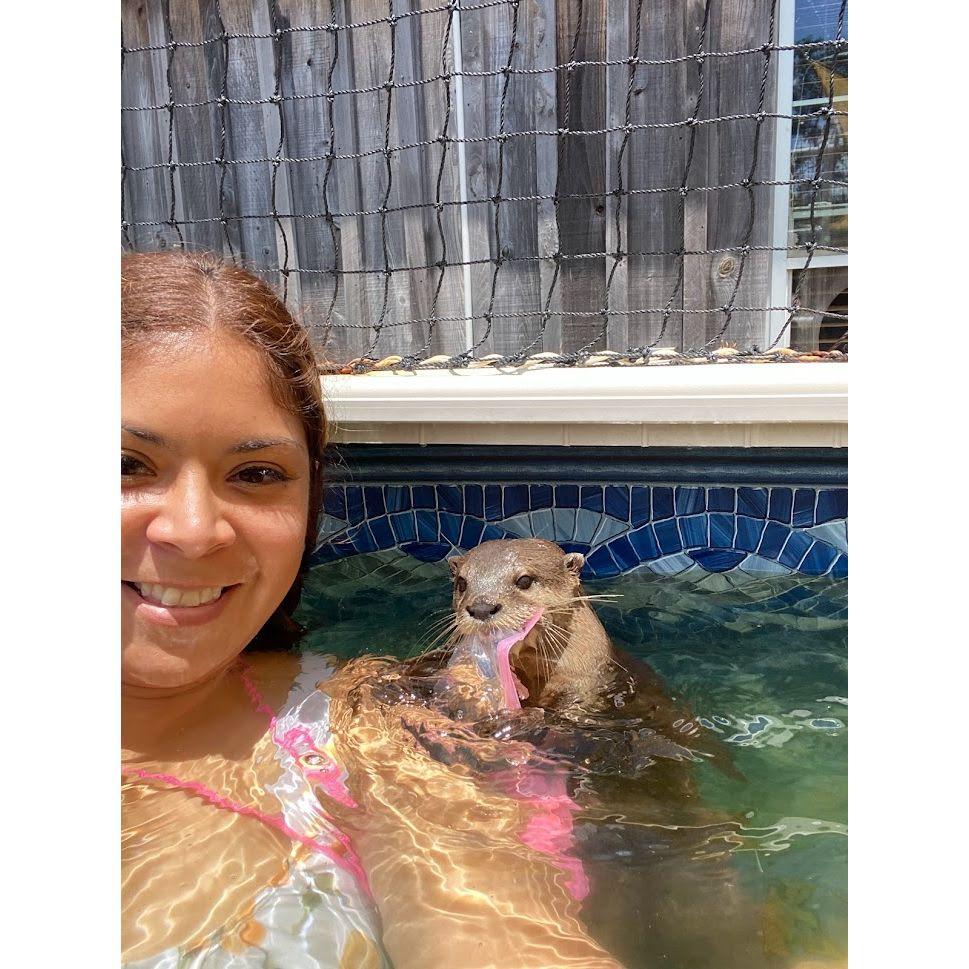 Otter Experience at Barnhill-July 2022