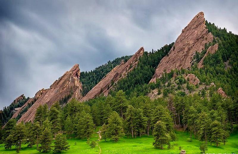 The Wedding Website of Sheridan Gill and Connor Bailes