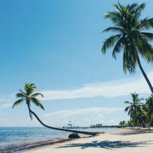 Honeymoon Fund