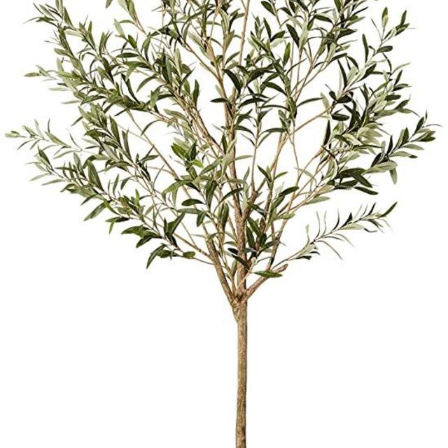 Amazon Brand - Stone & Beam Artificial Olive Tree with Plastic Nursery Pot, 5.6 Feet (67.5 Inches) / Large, Indoor
