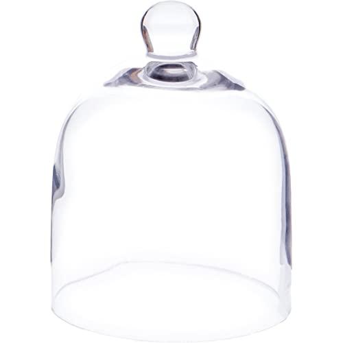 Plymor 5" x 6" Bell Jar Glass Display Dome Cloche (Interior Size 4.75" x 5")