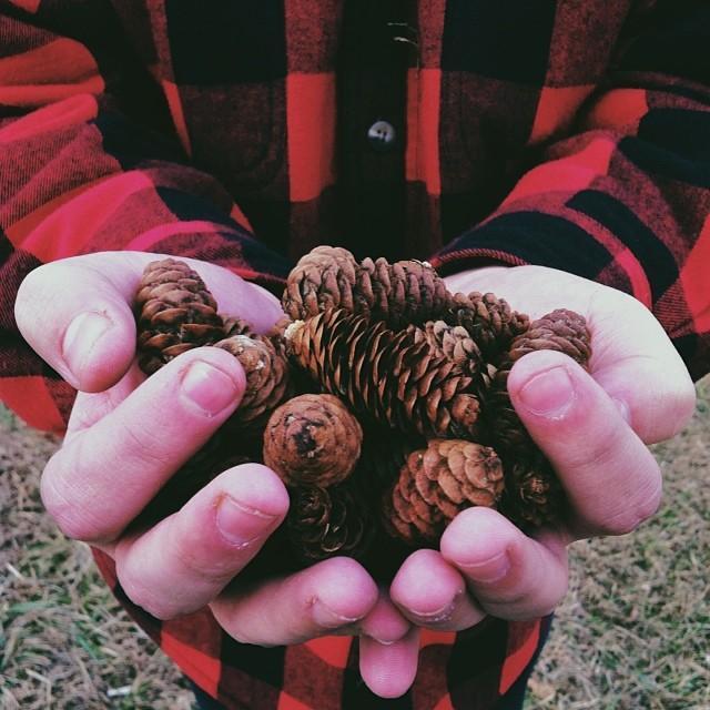 December 29th, 2013:
Exploring the forests of Michigan. 🌲