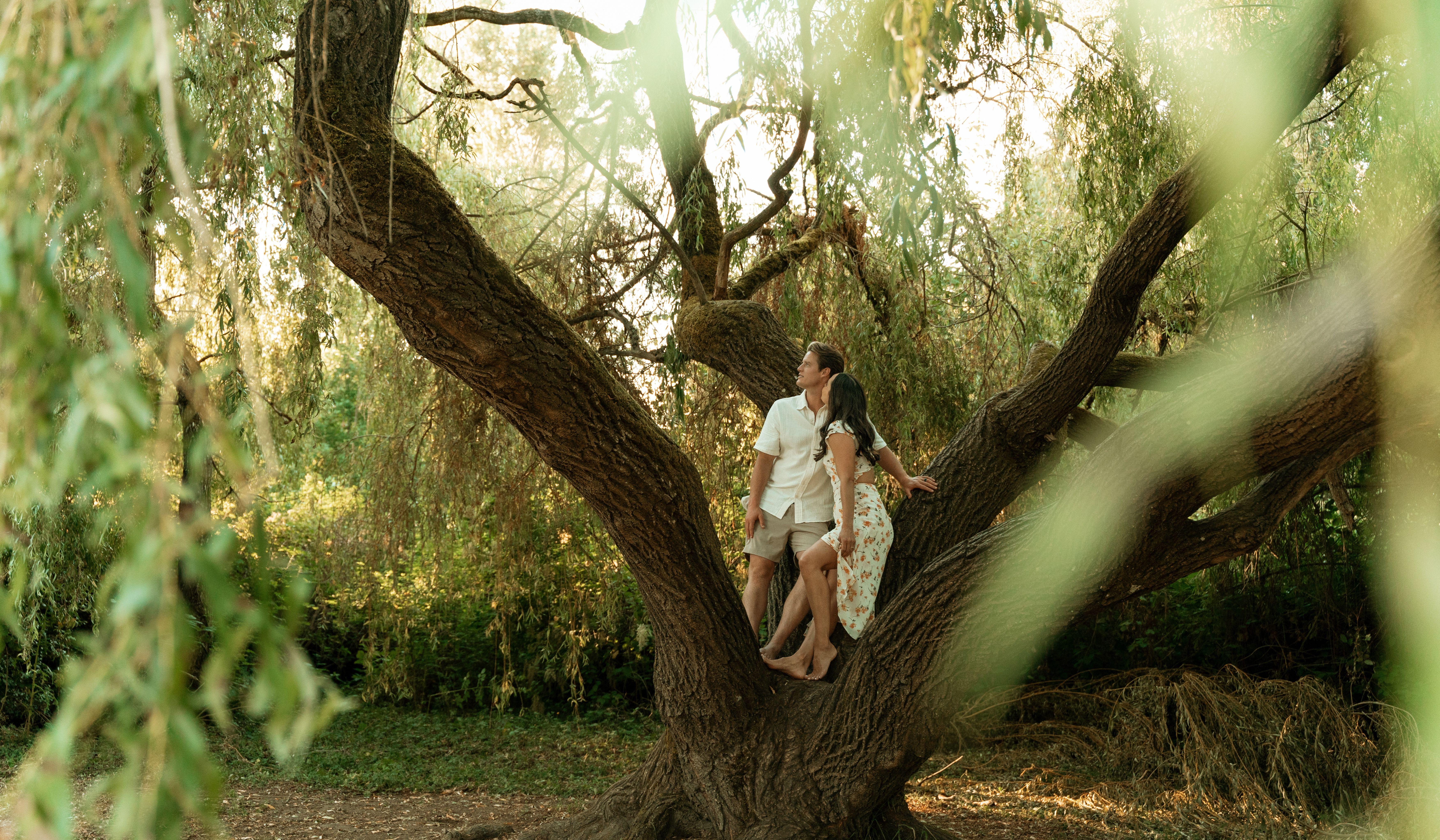 Hero Slideshow Image 0