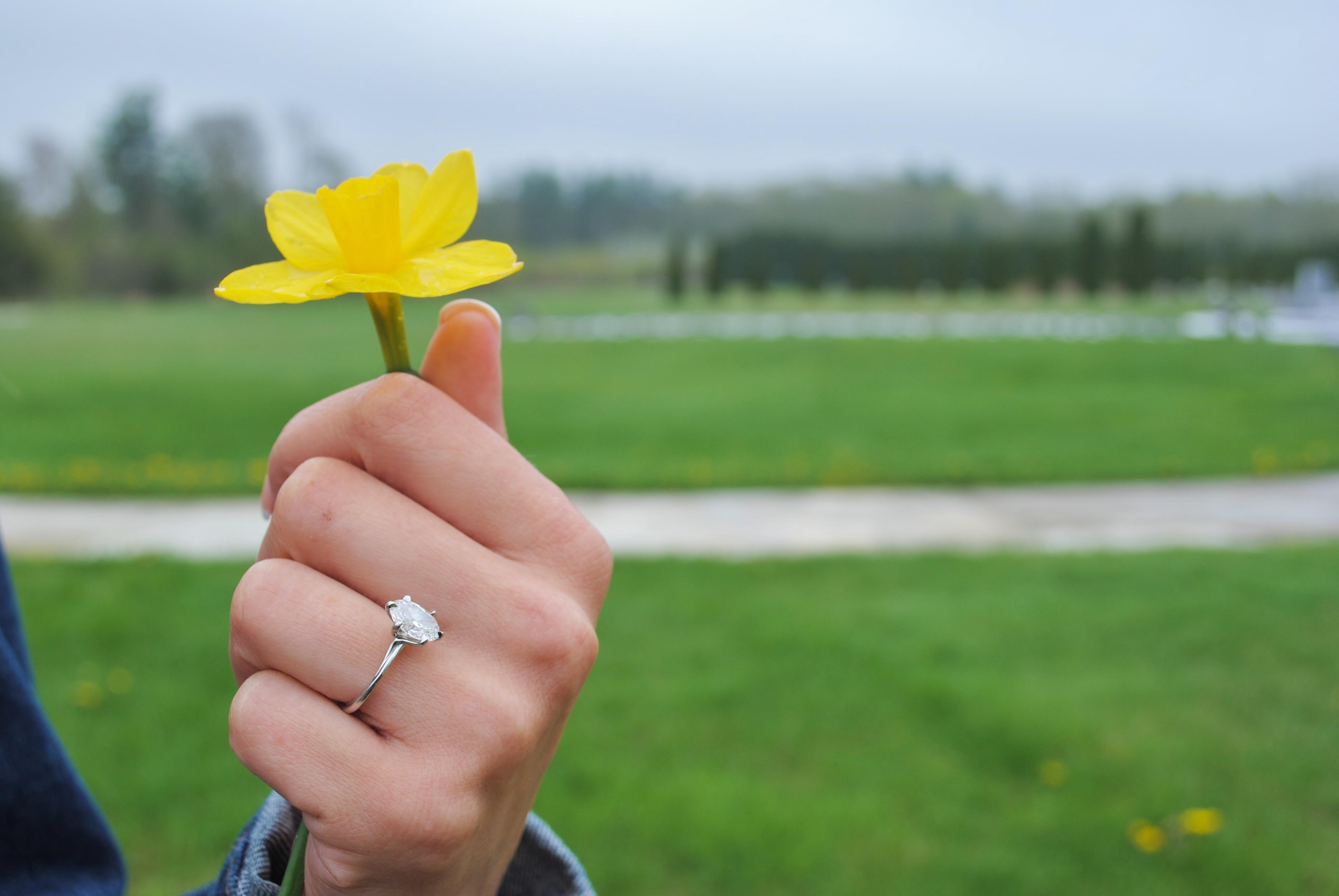 dd307527-ab6f-4e45-8089-74546c051815