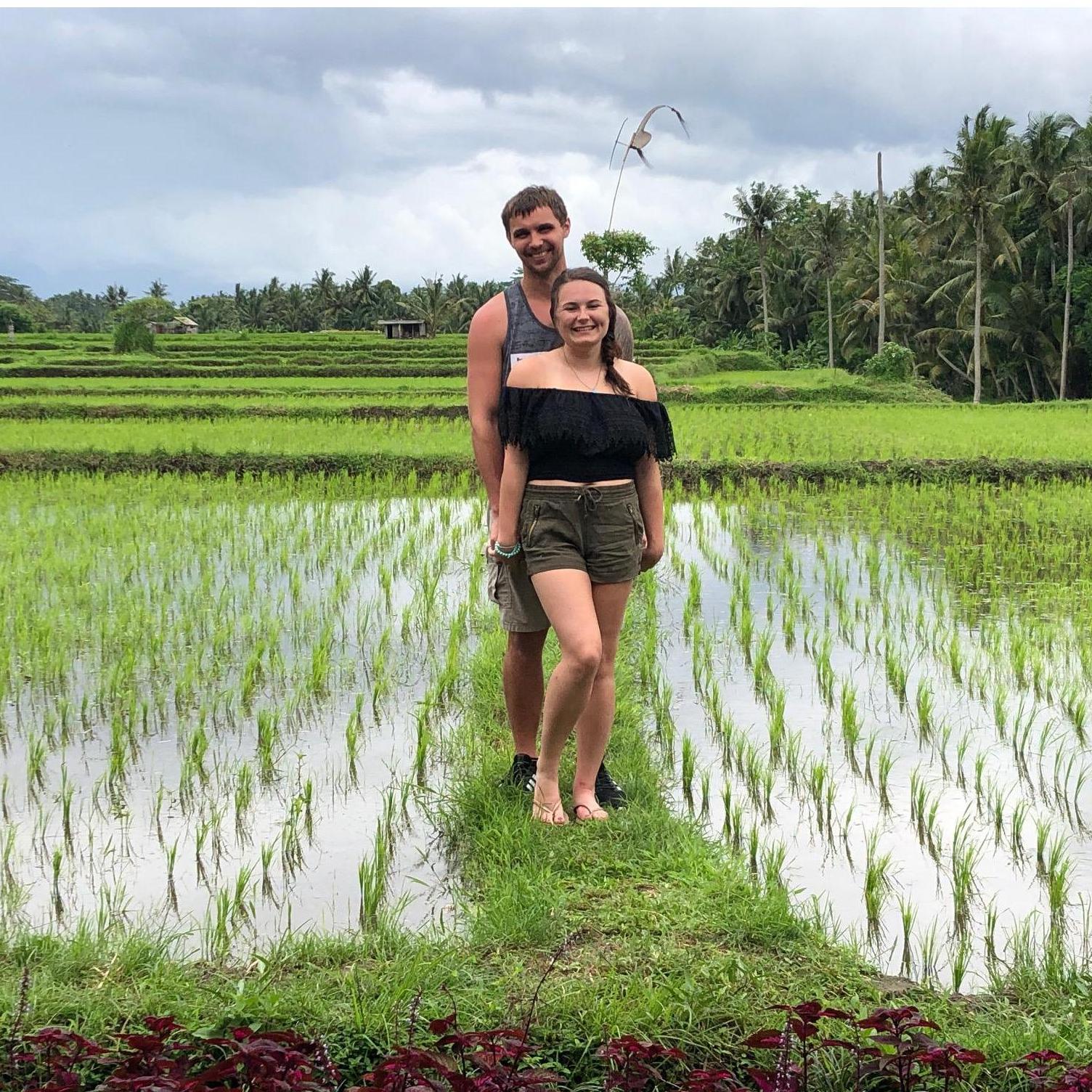 Rice paddies