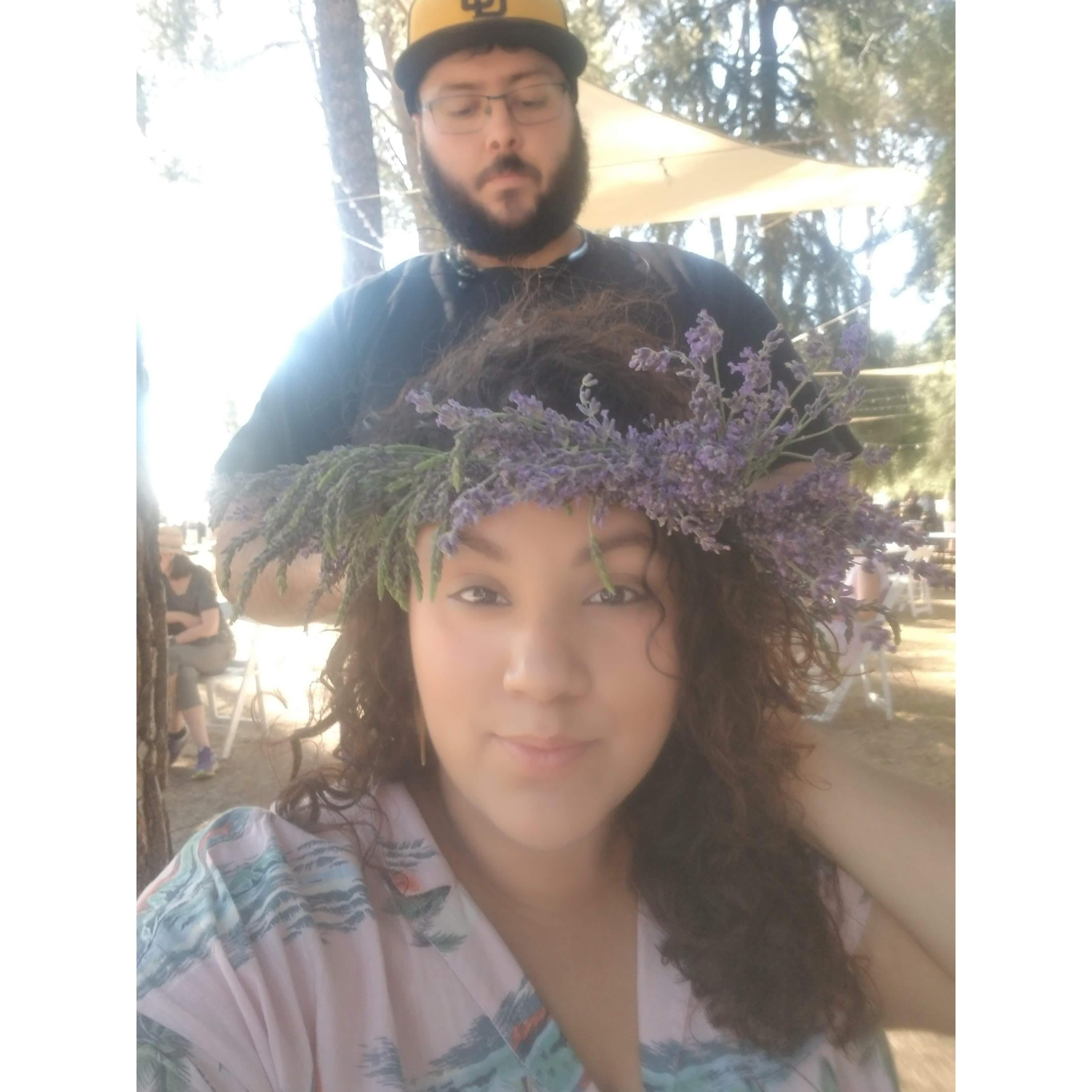 Lavender Fields 2019
