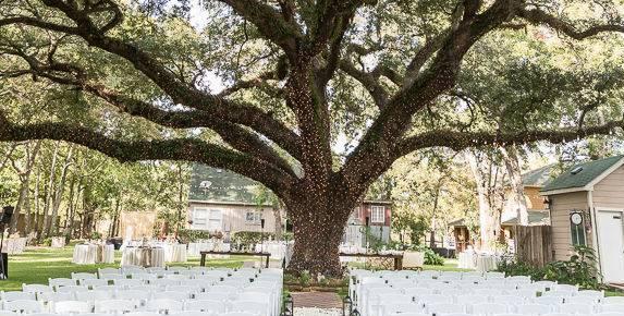 The Wedding Website of Rhonda Little and Frank Childress