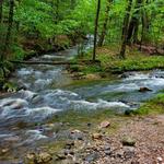 Amethyst Brook Conservation Area