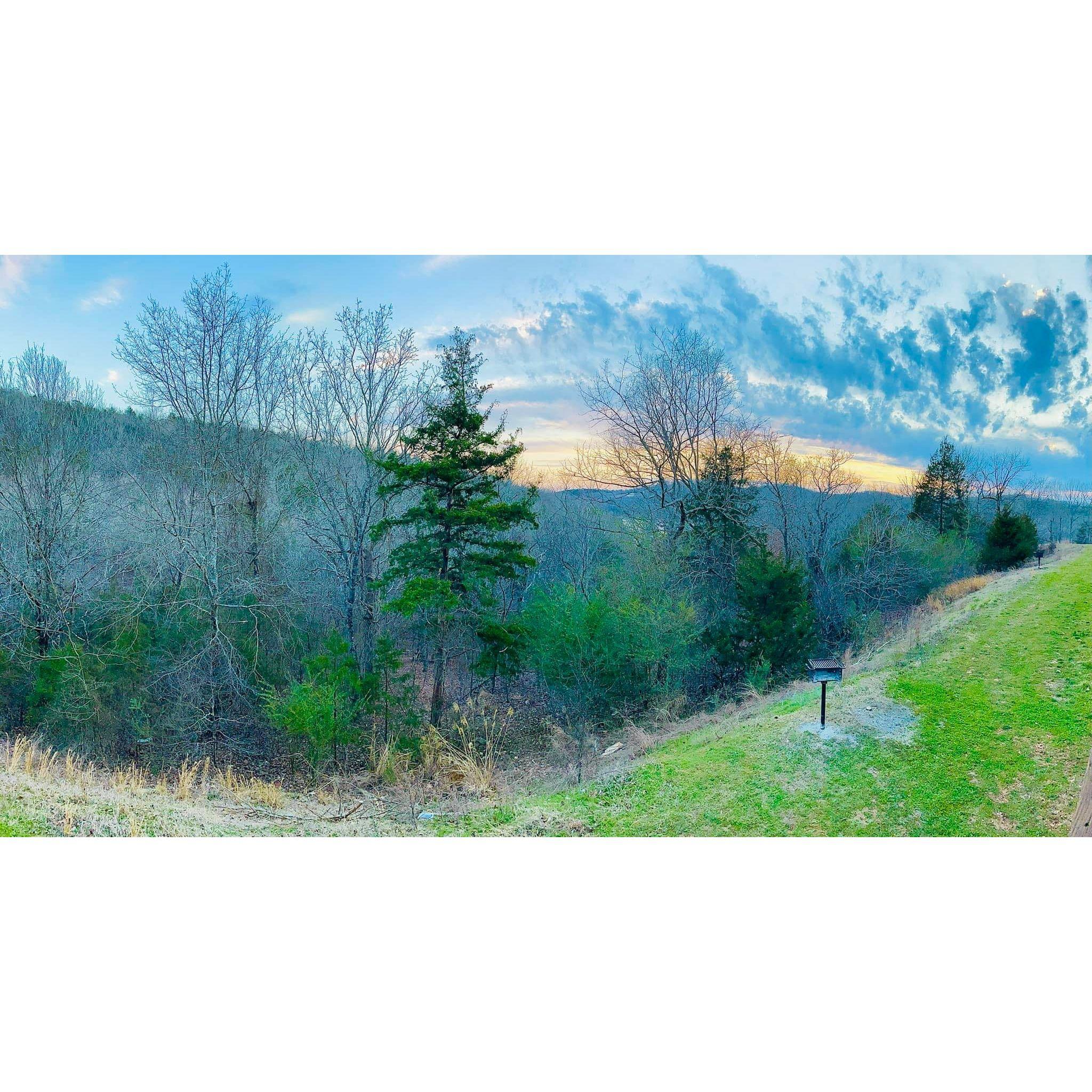 This was the view from the condo they stayed at on the side of the Ozark mountains, overlooking Tablerock Lake.