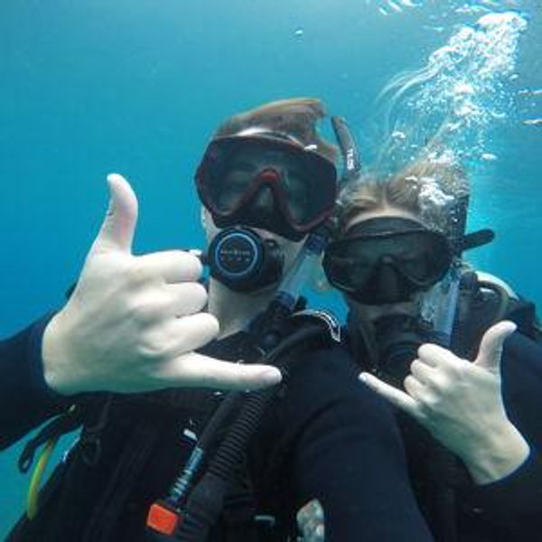 Humpback Whale Scuba Dive in Mo'orea