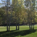 Golfing