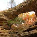 Natural Bridge State Park Road B