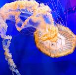 North Carolina Aquarium on Roanoke Island