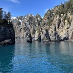 Major Marine Tours