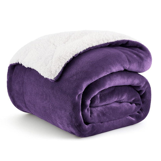 Bedsure Sherpa Fleece Throw Blanket Twin Size for Couch - Thick and Warm Blanket for Winter, Soft Fuzzy Plush Twin Blanket for All Seasons, Purple, 60x80 Inches