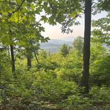 Brushy Hills Preserve Trailhead