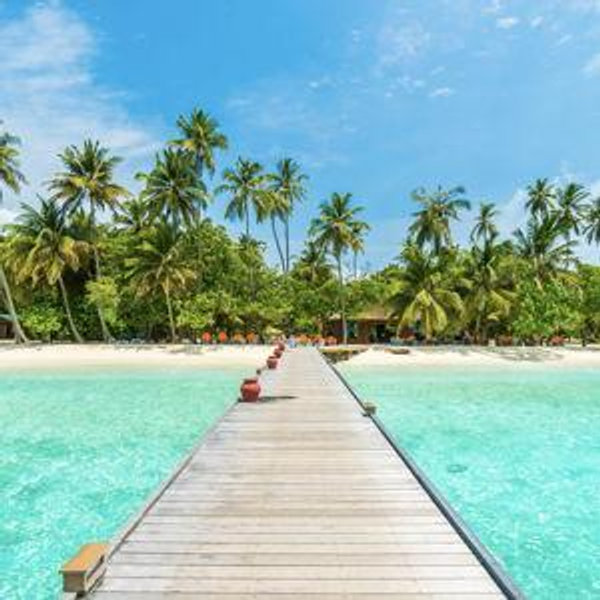 Honeymoon Fund