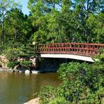 Morikami Museum and Japanese Gardens