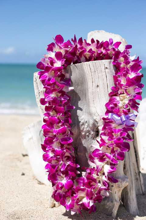 The Wedding Website of Jamaika Chapman and Michael Porter