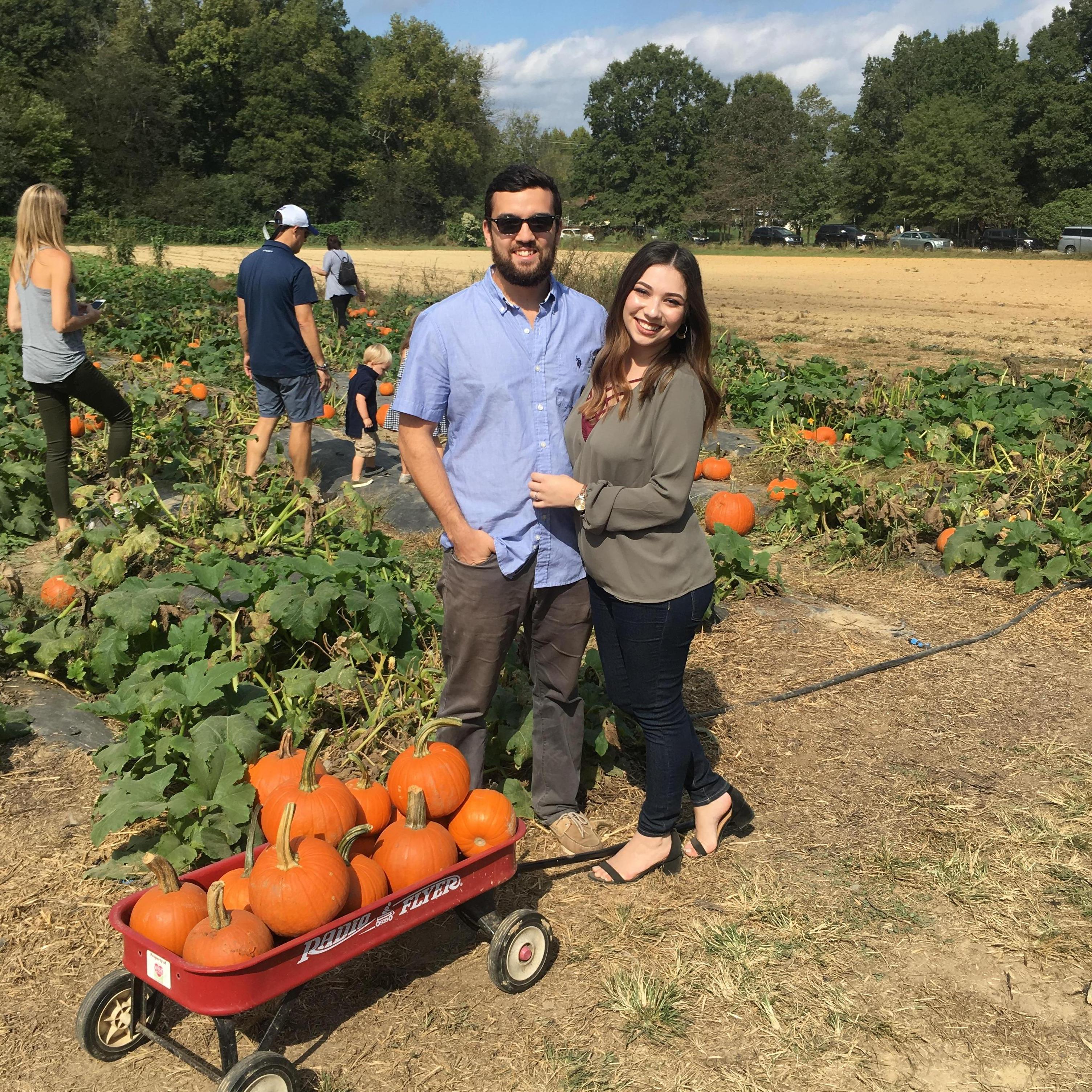We stopped at the best little farm on our way home from a friend's wedding! We can still remember the amazing brick-oven pizza and cute farm animals!