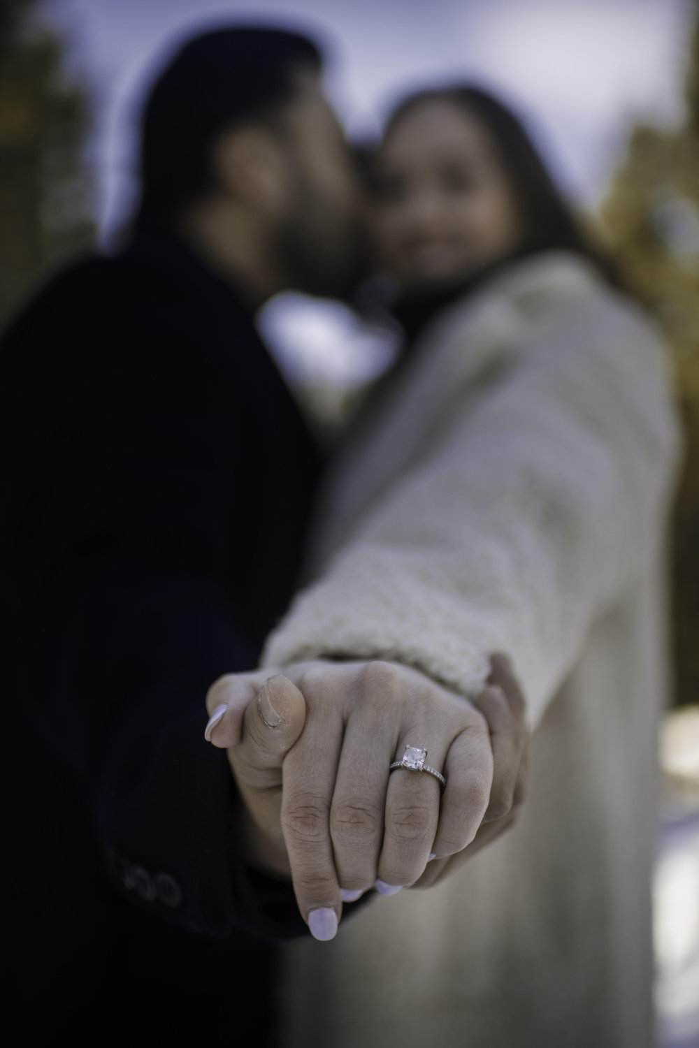 The Wedding Website of Shelby Loewen and Michael Ablang