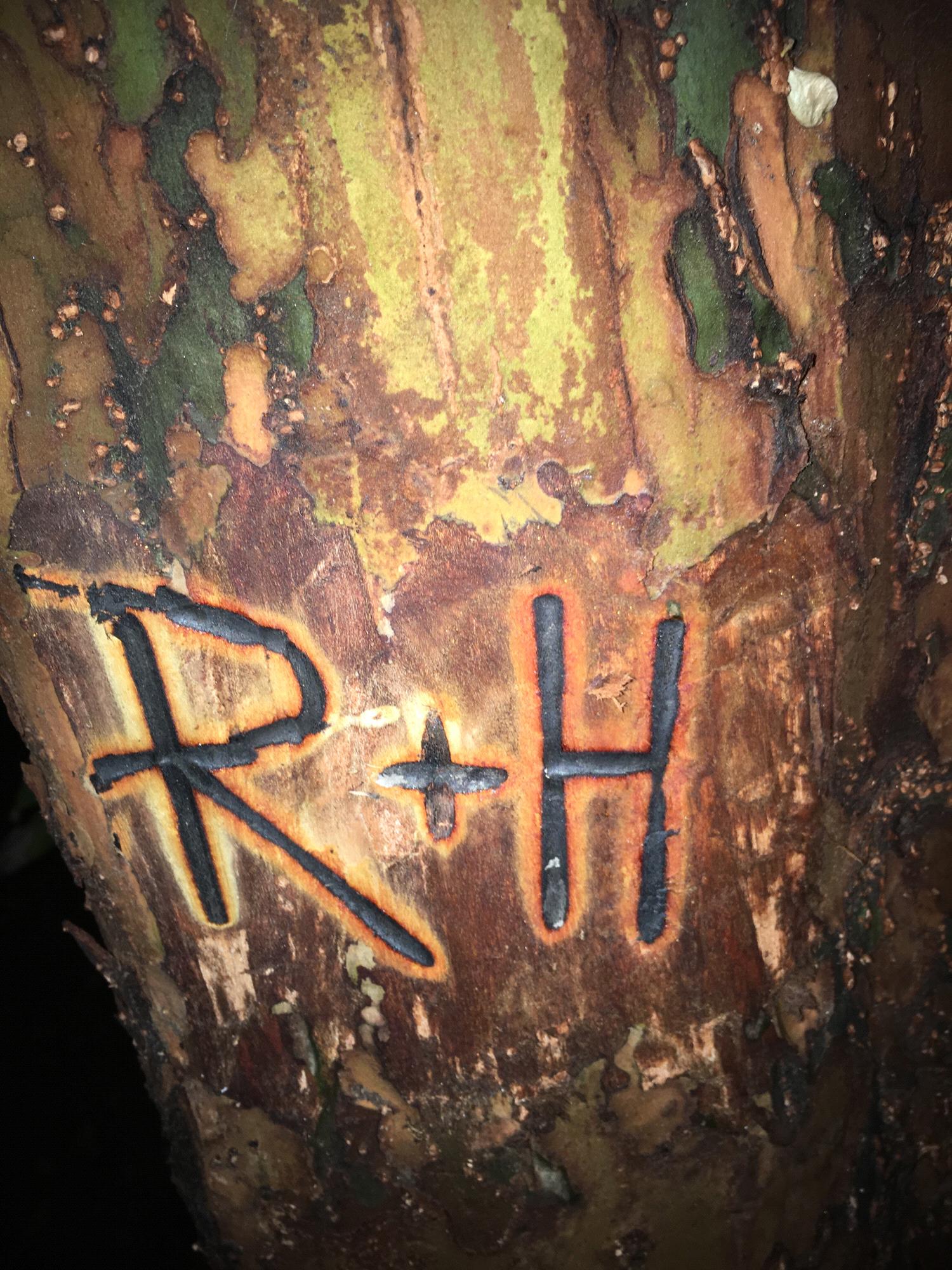 New Years 2019, we call this tree art!