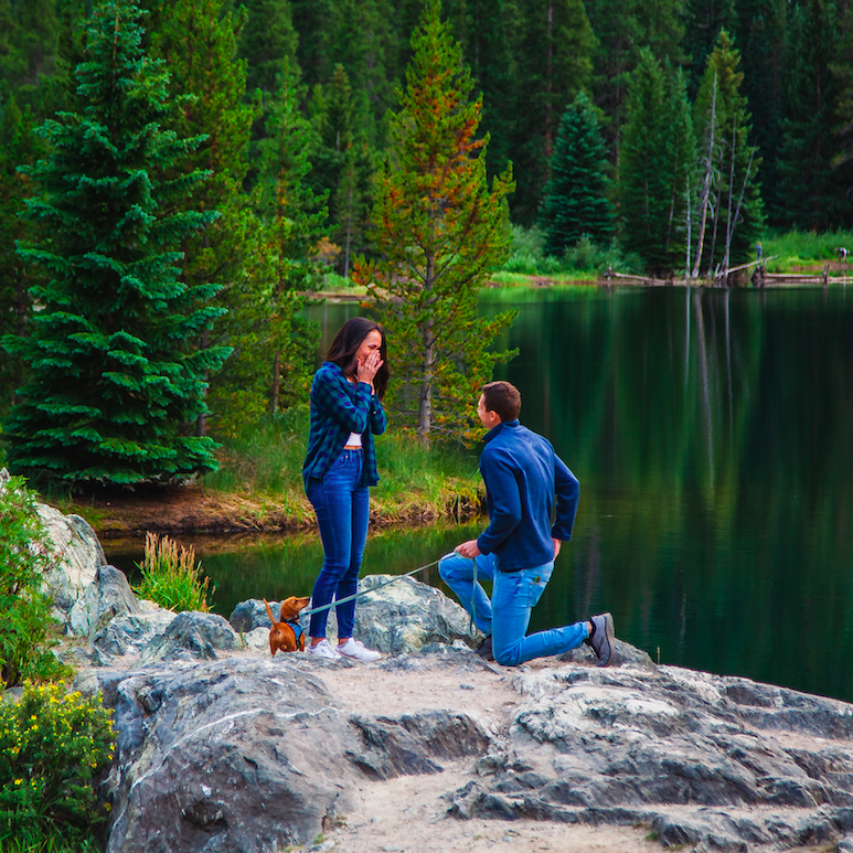 Engagement 2020