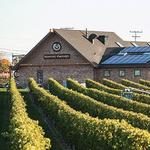 Newport Vineyard