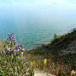 Lion's Den Gorge Nature Preserve
