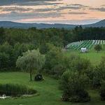 Cellardoor Winery