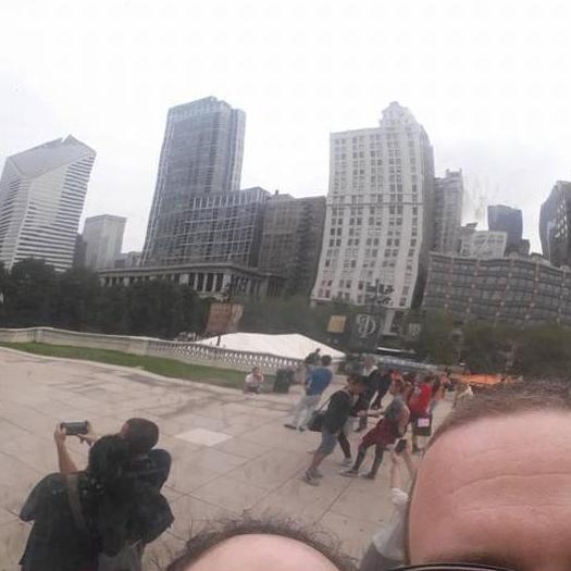 The Chicago bean