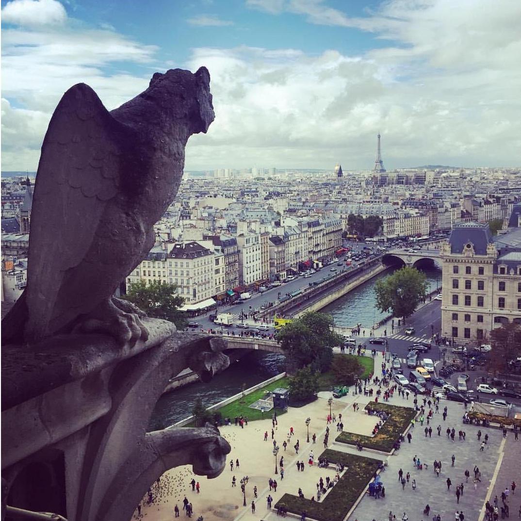 Our most memorable trip! Jeremy flew to Paris for the weekend to join me on a work trip. This photo was taken from the top of Notre Dame. (2015)