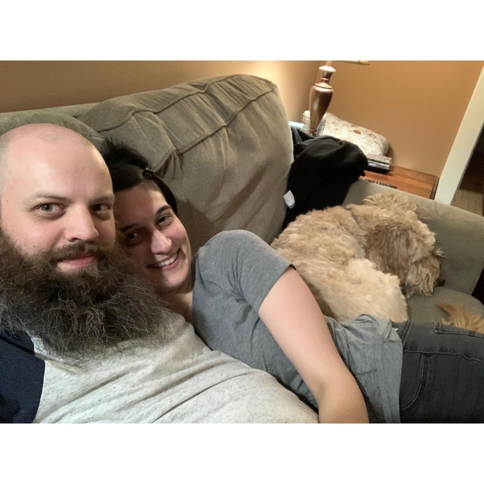 More dog-sitting