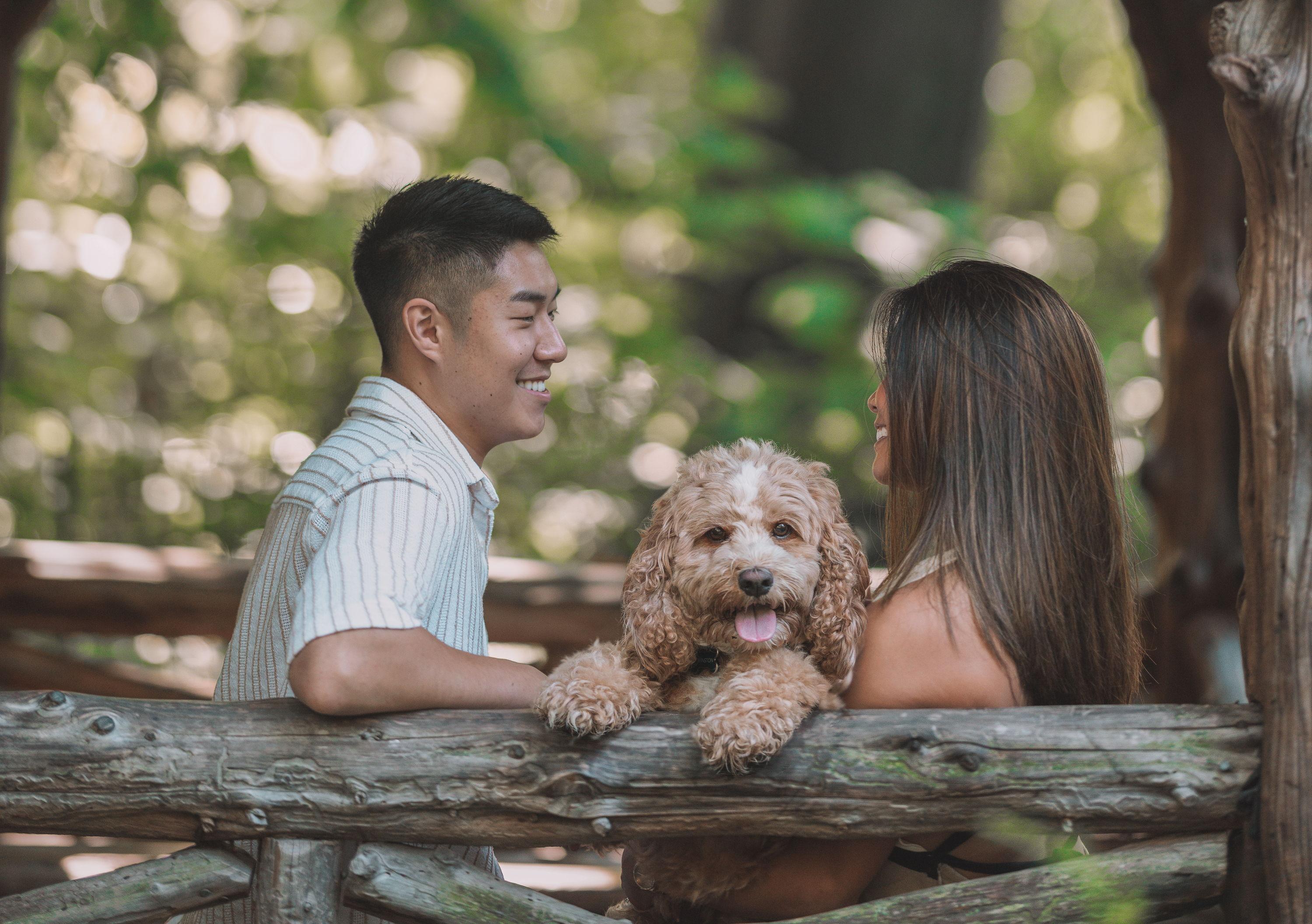 The Wedding Website of Ariana Abes and Dan Kim