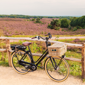 🚲 E-Bike Adventure Fund
