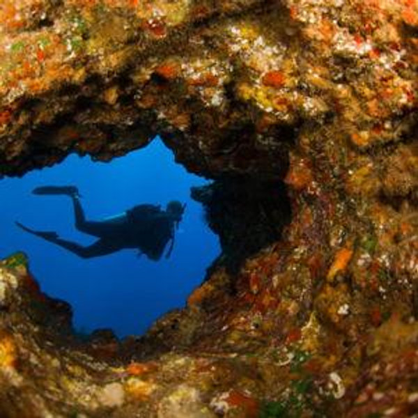 Snorkeling Among Lava Tunnels (Isabela)