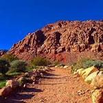 Red Rock Canyon National Conservation Area