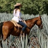 Horseback Riding