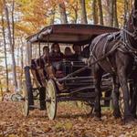 Mackinac Island Carriage Tours