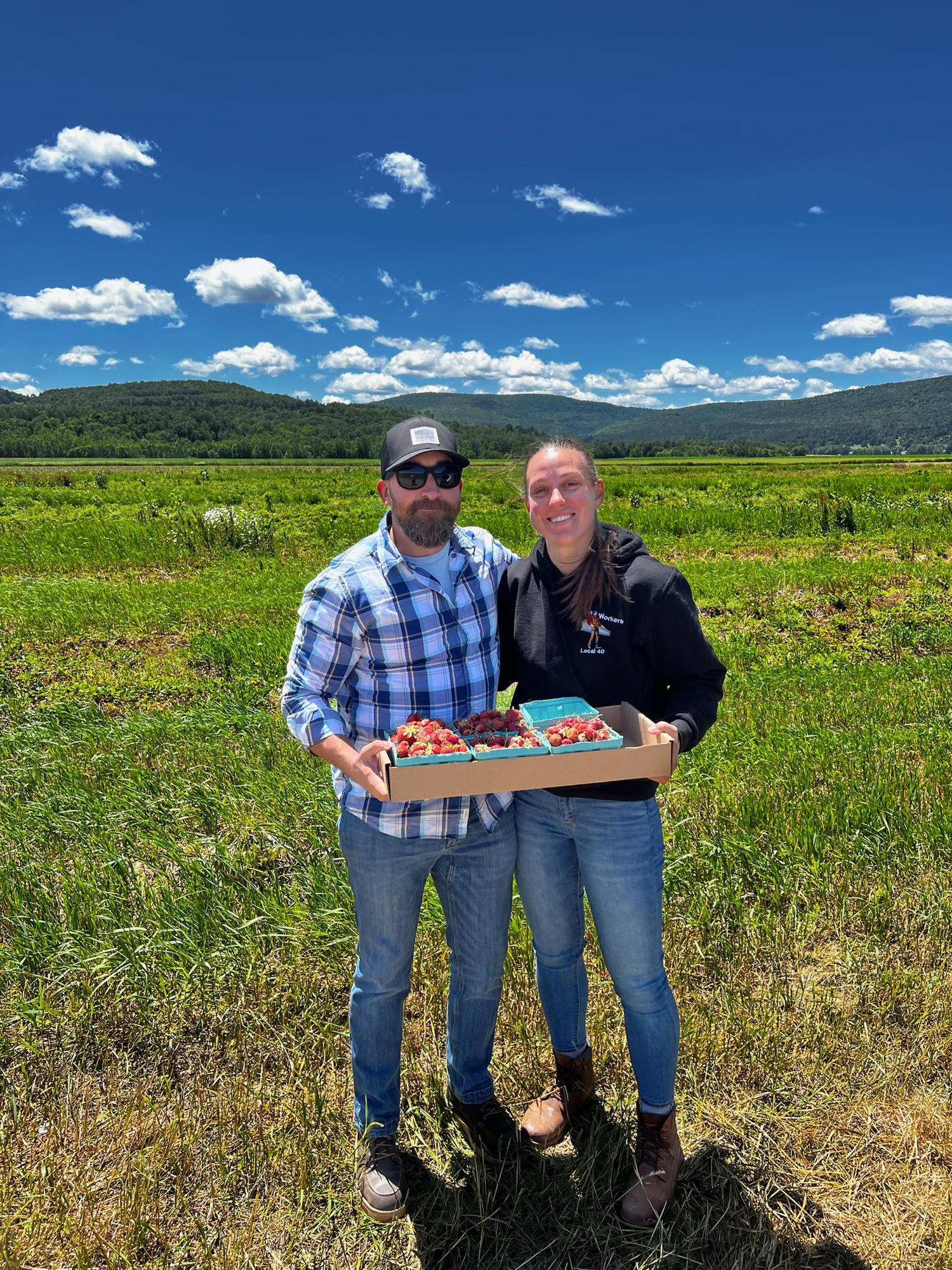 Strawberry picking upstate