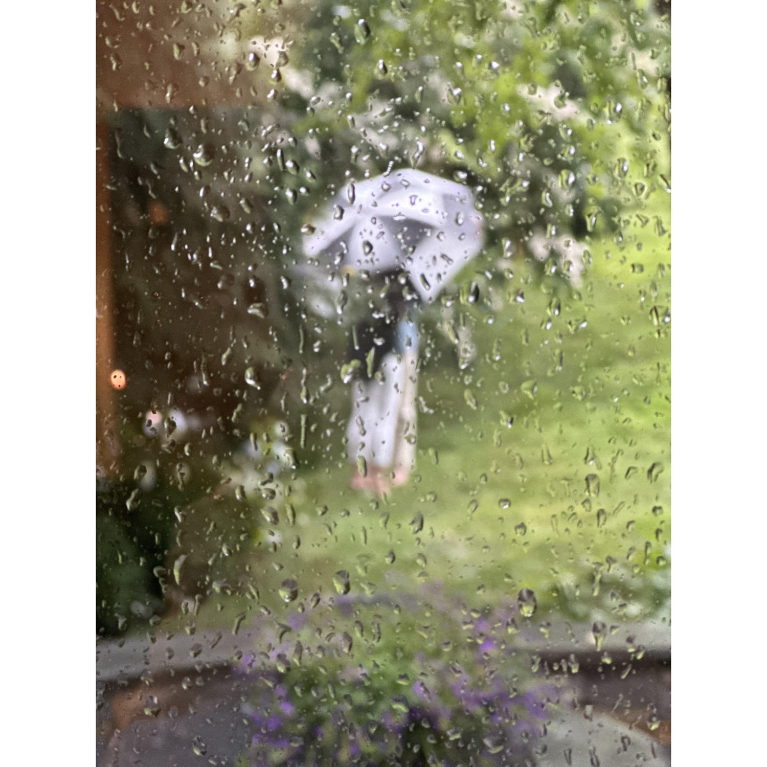 Getting engaged in the pouring rain!