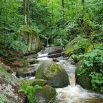 Bent Run Waterfall