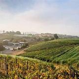 Fallbrook Winery