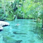 Kelly Park Rock Springs