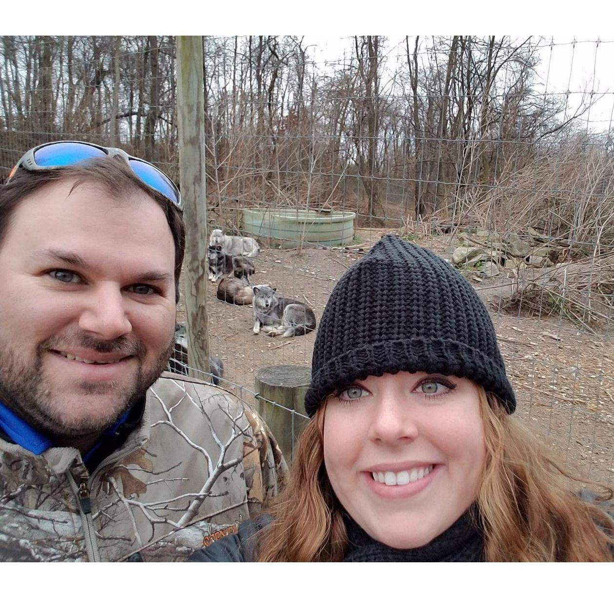 Spent my 27th birthday with some wolves! December 2016.