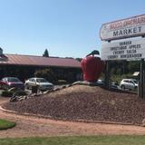 Wood Orchard Market