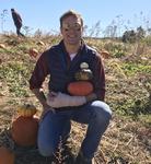 Wayside Farm Fun